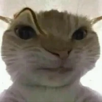 Hệ thống mồn lèo