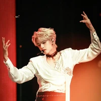 Gryffindor - Trương Cực