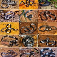 mấy nhỏ trong lớp (cak loz mẹ tụi nó😭)