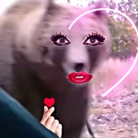 🐻