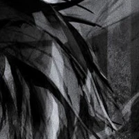 All(-những người cần trừ) 