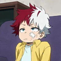 Todoroki Toya