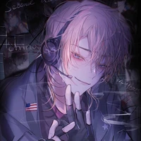 America (The USA)