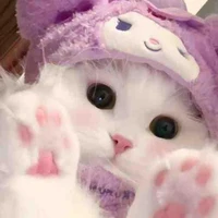 mèo của kira (myka)
