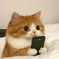 @Kecaptraitymkhuatruocmanhinh