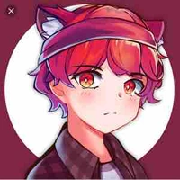 ST_Hachi