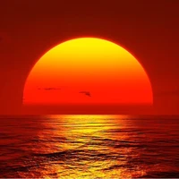 Giáo hội mặt trời 