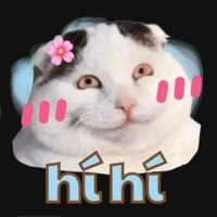 Tú bà