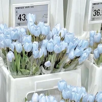 tg lười nhất tg