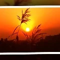 nhân vật phụ