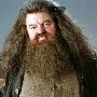 hagrid