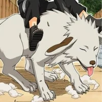 Akamaru