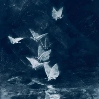 all (những người ở đó)