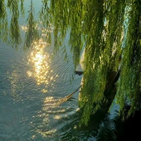 Anh Bé - hắn