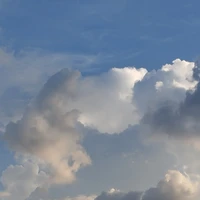 t/g
