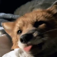 T/g