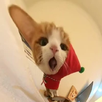 tác giả đâyyy 🌷