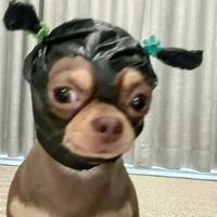 tgia ăn trộm[Liin]