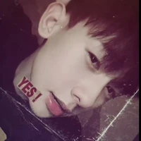 Chu Việt