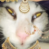 đứa ngồi cùng bàn