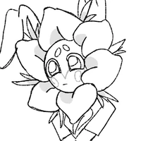 dandy(thỏ trắng?)