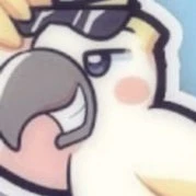 Tác Giả Bị Đúm