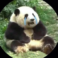 hệ thống  trúc nè