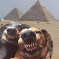 con tg(đấng toàn năng:))