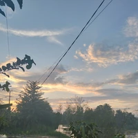 Tần Phạn Phạn 
