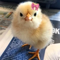 T/g - Vdarh la vo cua toi ౨ৎ