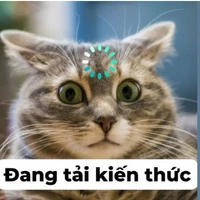 cân all nhân vật phụ