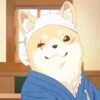 Master Shiba