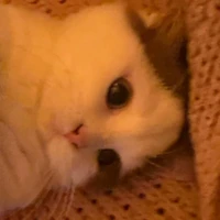 clbthethao