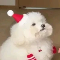 Hệ thống ( Cochi )