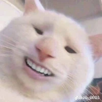 tg cuti pho mai con pò cừi