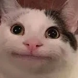 all