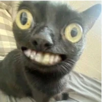 nhỏ tác giả ngu xi