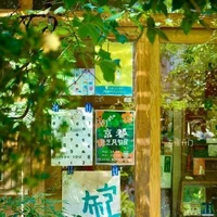 anh trao tình rồi em gửi ý đi