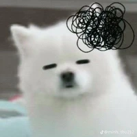 nhỏ tg
