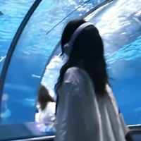 Yuchi_|@Kẻ tâm thần|_Quản trị viên_