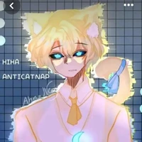 hiha anti catnap