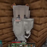 DonMC