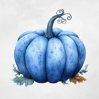 dusekkar