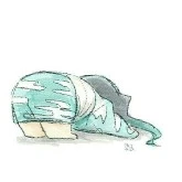 Tg