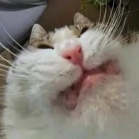 tác giả😈👽💩🌚