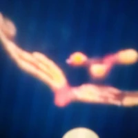 kiki-phượng lửa (thần thú của cyan)