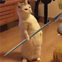 con tg ( bị dại )