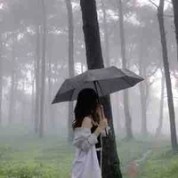 Trần Thị Mỹ Linh🍵