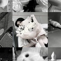 Bạch Hồng Cường