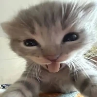 Enikama(T^g bị I can